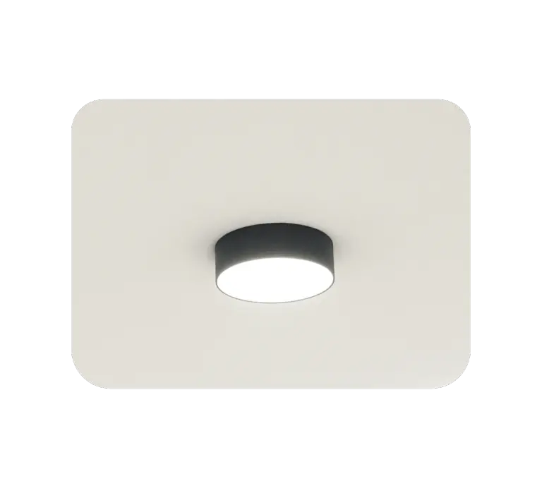 Main Light